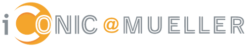 The image displays a stylized text logo that reads "IGNICOMUELLER".